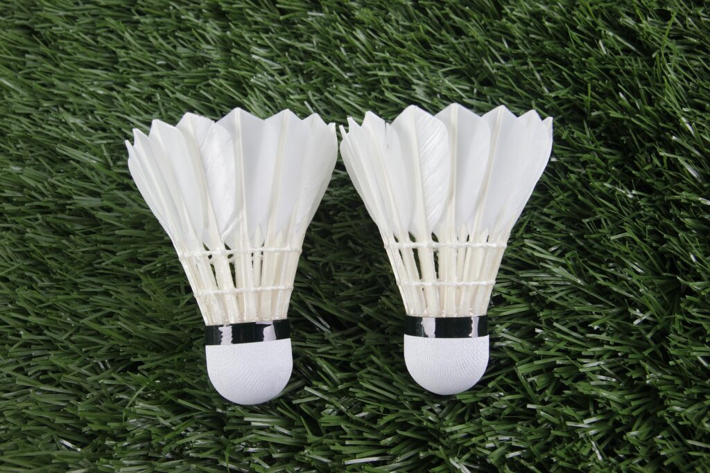 badminton bollar
